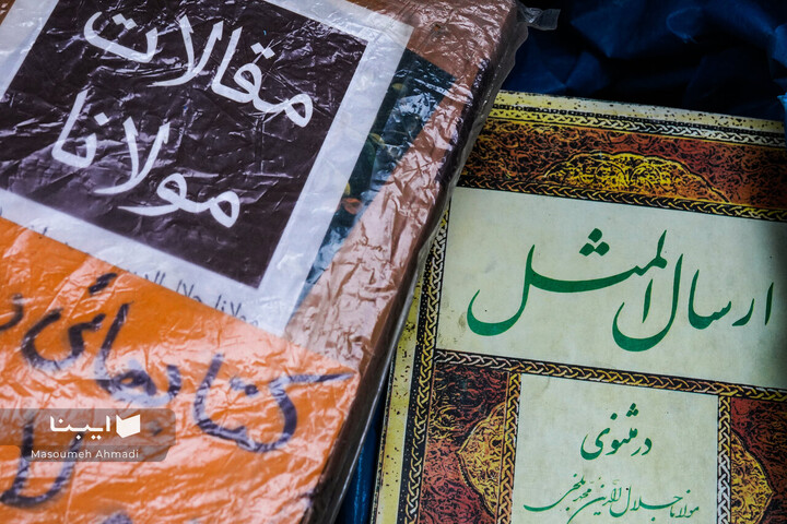 مولانا در شهر