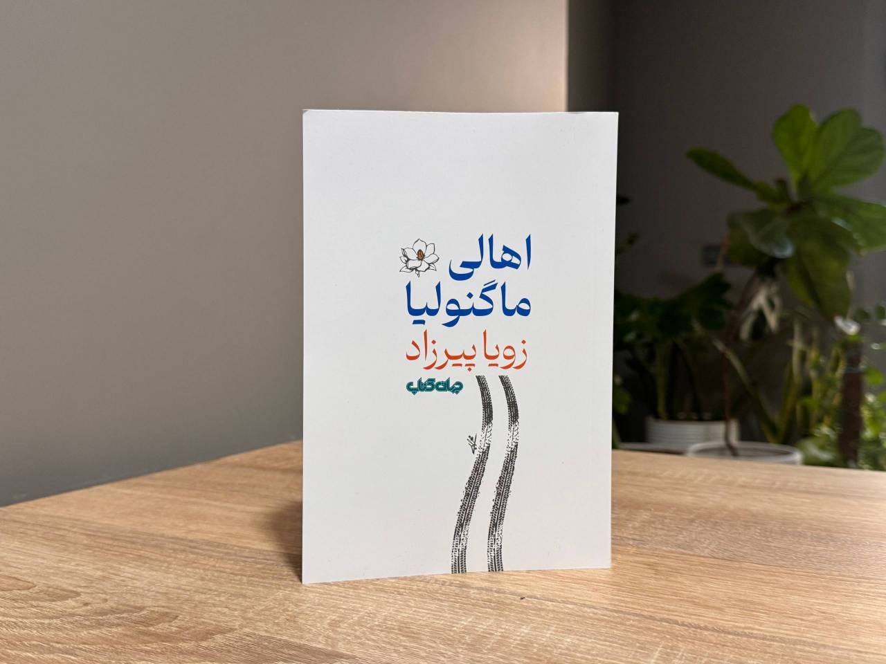 زویا پیرزاد در اثر جدیدش قصه‌گوی «گذشته» شده است