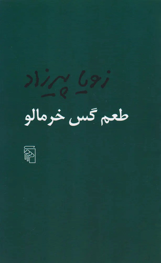زویا پیرزاد در اثر جدیدش قصهگوی «گذشته» شده است