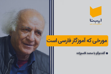 مورخی که آموزگار فارسی است