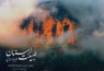 عکس‌‌های علیرضا فرزین از «طبیعت لرستان» در قاب کتاب