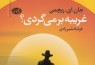 «غریبه برمی‌گردی؟» به ایران آمد/ انتشار نخستین اثر از ریچمن به زبان فارسی