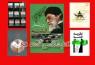 کتاب‌ها از فتنه 88 چه می‌گویند؟/ از «انقلاب اسلامی در بوته آزمون» تا «نقشه نقش بر آب»