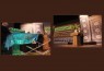 رونمایی از چهار کتاب در آیین اختتامیه جشنواره قرآن و عترت استان گلستان