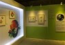 نمایش تصاویر «ماهی سیاه کوچولو» برای چینی‌ها