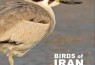 ​«پرندگان ایران» در فرانکفورت رونمایی می‌شود