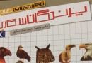 ​پرندگان شکاری بر فراز بازار کتاب