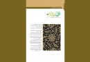 نقد و بررسی جنسیت و زبان قرآن / تاثیر جریان‌های سیاسی بر تفسیرهای قرآن