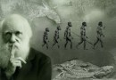 چارلز داروین و نظریه تکاملش به زبان اهالی علم/درست‌‍ترین نظریه تکامل در ایران از سوی دانشگاهیان مطرح شد