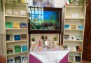 ​نمایشگاه‌های کتاب عیدانه در کتابخانه‌های آستان قدس
