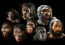 ایرانیان چه نظراتی درباره تکامل داروین داشته‌اند؟