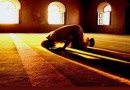 «مرآة الهداة» نماز را همان حقیقت معصومین می‌داند