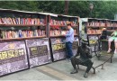 گزارشی از یک کتاب‌فروشی جالب در چین