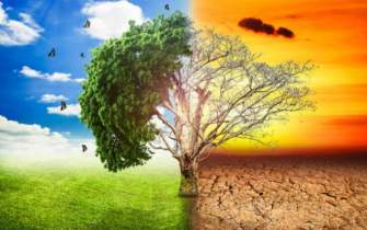 چالش‌های آینده کشاورزی جهان با گرم شدن کره زمین