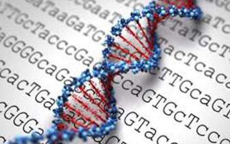 رمزگشایی از رابطه ژنتیک و سیستم ایمنی در مقابله با عوامل بیماری‌زا