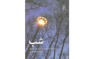 نوشتار حسین سناپور درباب داستان کوتاه و بزگریدگان جایزه ارغوان