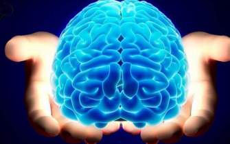 اندازه مغز مهم است نه جنس بیولوژیک صاحب مغز