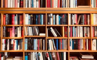 رابطه کتابخانه‌های خانگی با رشد مغزی و استعدادهای کودکان