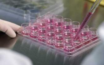 معجزه سلول‌های بنیادی در درمان بیماری‌ها