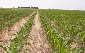 کاهش فرسایش و افزایش کیفیت خاک در کشاورزی حفاظتی