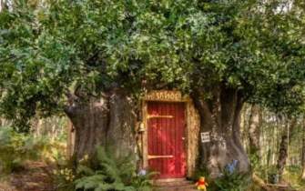 اقامت در خانه درختی وینی پو برای مسافران انگلیسی