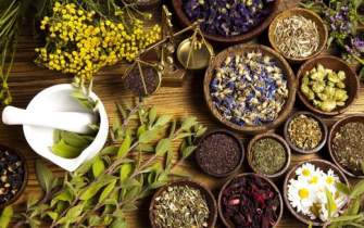 با نحوه صادرات گیاهان دارویی آشنا شوید