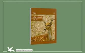 کتاب «گوزن زرد ایرانی» اثر علی گلشن منتشر شد