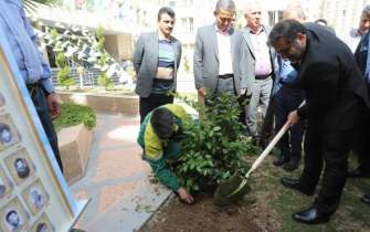 وزیر فرهنگ و ارشاد اسلامی همزمان با روز درختکاری نهال غرس کرد