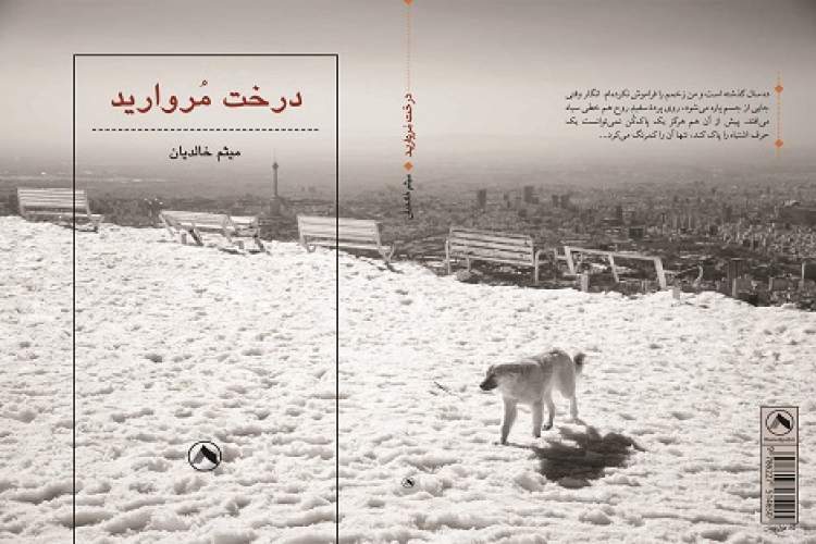 «درخت مروارید» رمانی اجتماعی و جنایی با محوریت زندگی شهری است «درخت مروارید» رمانی اجتماعی و جنایی با محوریت زندگی شهری است