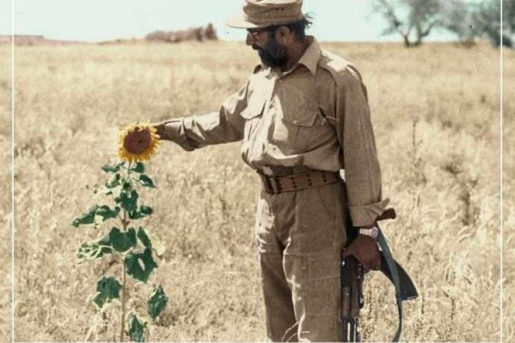 سیره زندگی شهید چمران را مطالعه کنید سیره زندگی شهید چمران را مطالعه کنید