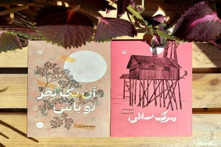 سوره مهر دو دفتر شعر جدید روانه بازار کرد سوره مهر دو دفتر شعر جدید روانه بازار کرد