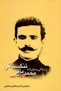 مبارزات تنگستاني، مدير روزنامه جنوب