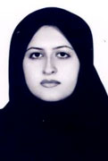عصر صفويه، نقطه عطف تاريخ ايران است