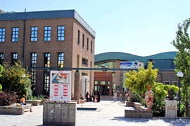 تابستاني كتابي براي مردم منطقه 11