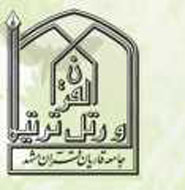 اتحاد مسلمانان شيعه و سني بهترين پاسخ به هتاكان است