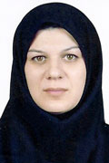 گل بودم عسل شدم، چوب بودم كاغذ شدم