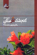 «گنجشک انارستان» به کتابفروشی‌ها آمد