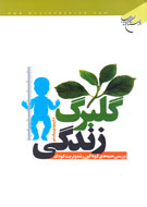 بررسي جنبه‌هاي گوناگون رشد و تربيت كودك در «گلبرگ زندگي»