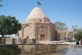 مادر شهید در دامغان خانه‌اش را کتابخانه می‌کند