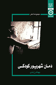 مجموعه شعر «دمان شهریور کودکی» در نمایشگاه کتاب رونمایی شد