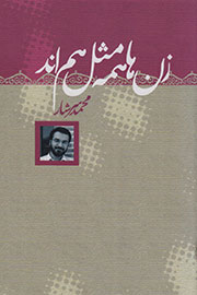 مجموعه داستانی از محمد سرشار منتشر شد