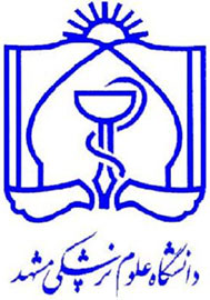 کارنامهای پر بار با بیش از 51 عنوان کتاب کارنامهای پر بار با بیش از 51 عنوان کتاب