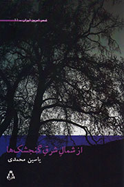 دفتر شعر یاسین محمدی منتشر شد