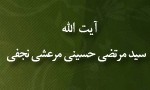 مردی پیوسته در خط مستقیم اهل بیت(ع) /کتابشناسی آيت‏‌الله حسينی مرعشی نجفی در سالگرد رحلتش