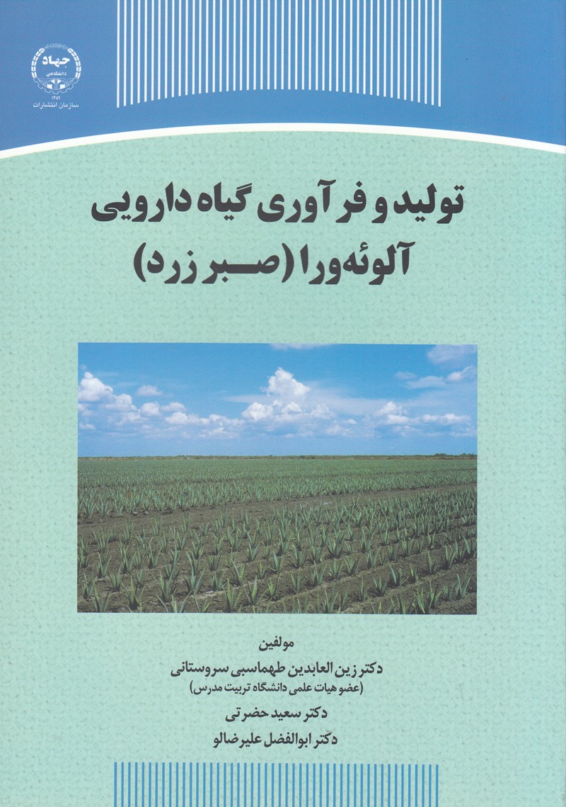 آشنایی با خواص معجزه‌گر آلوئه‌ورا در قاب کاغذی