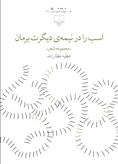 ​«اسب را در نیمه‌ی دیگرت برمان» به بازار نشر رسید