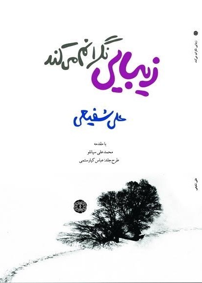 «زیبایی نگرانم می‌کند» منتشر شد/ کیارستمی با یک طرح جلد در بازار کتاب