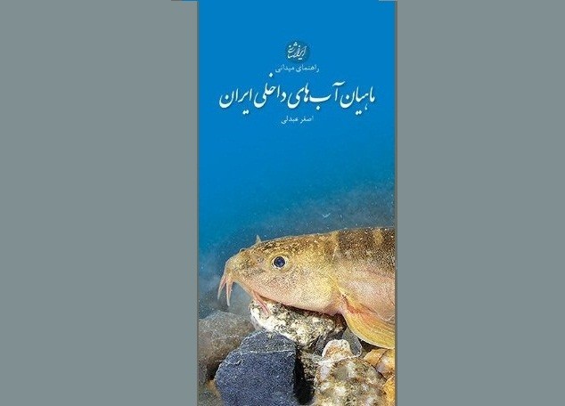 «ماهیان آب­های داخلی ایران» را در یک کتاب بشناسید/ عوامل تهدیدکننده ماهیان داخلی ایران چیست؟