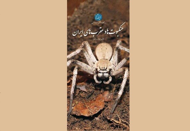 «عنکبوت‌ها و عقرب‌های ایران» در یک کتاب گردآمدند/ از عنکبوت‌های باستانی تا بابا لنگ دراز