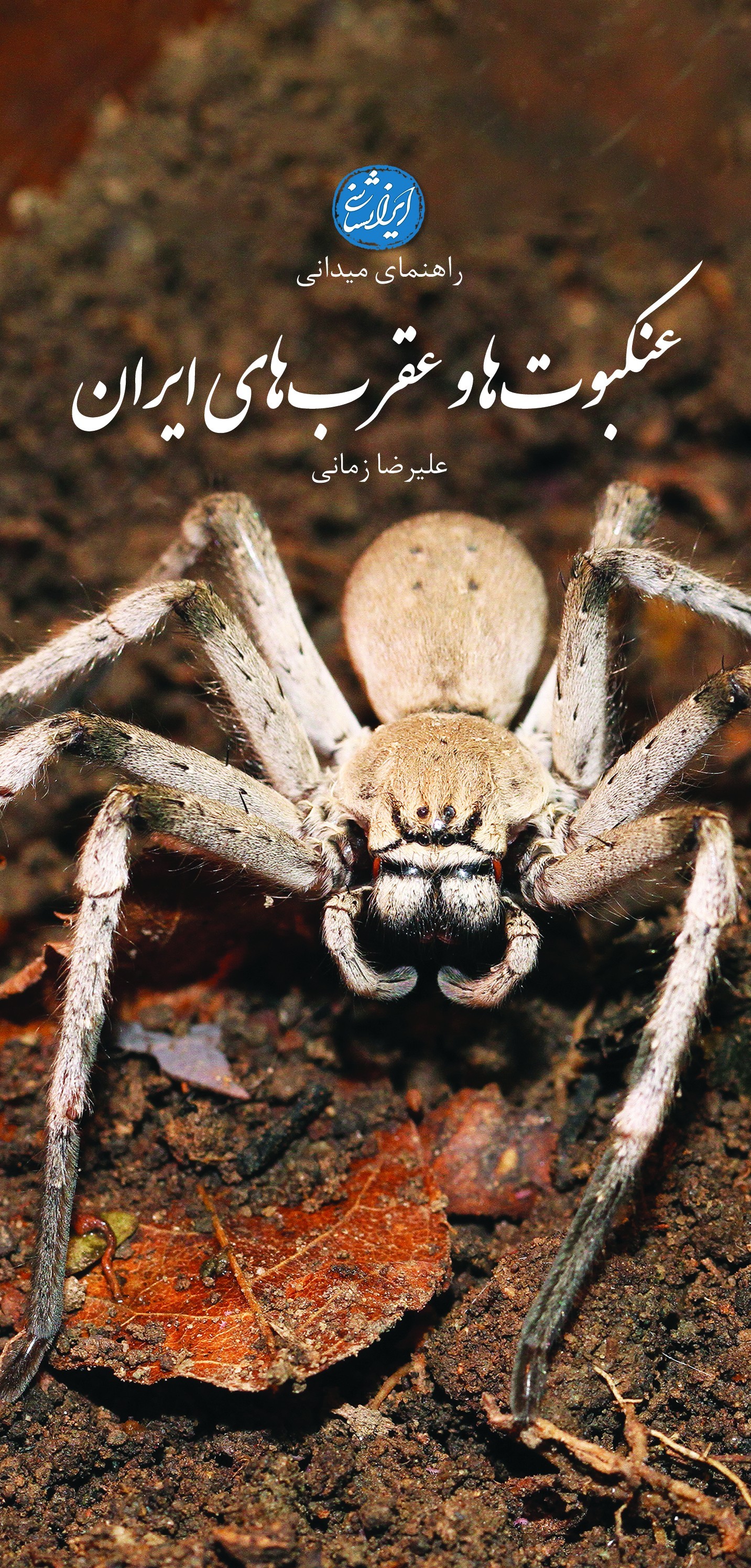 ​معرفی بیش از 230 گونه از کمیاب‌ترین عنکبوت‌ها و عقرب‌های ایران